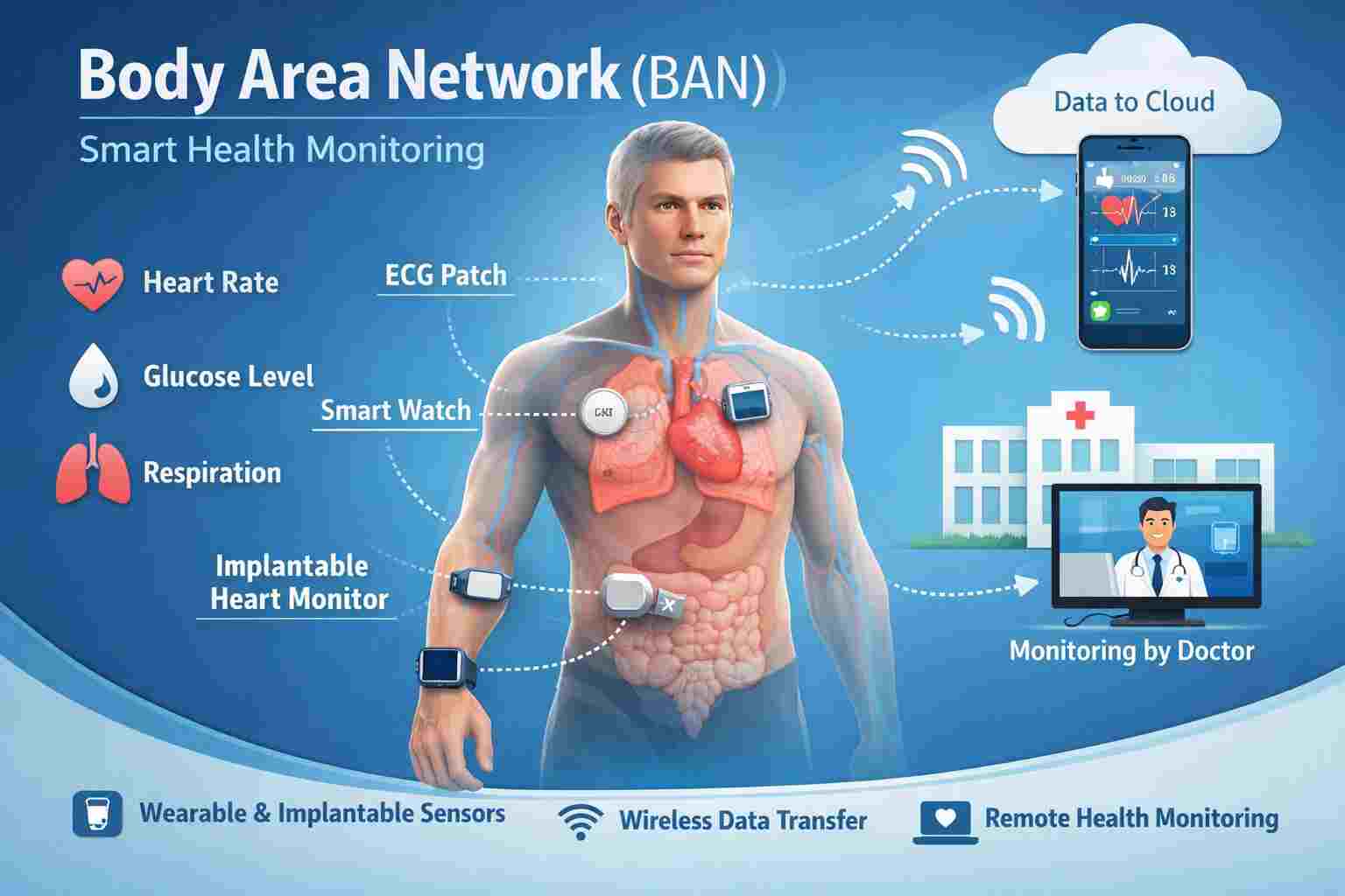 Body Area Networks (BAN): The Future of Health Monitoring on Your Body